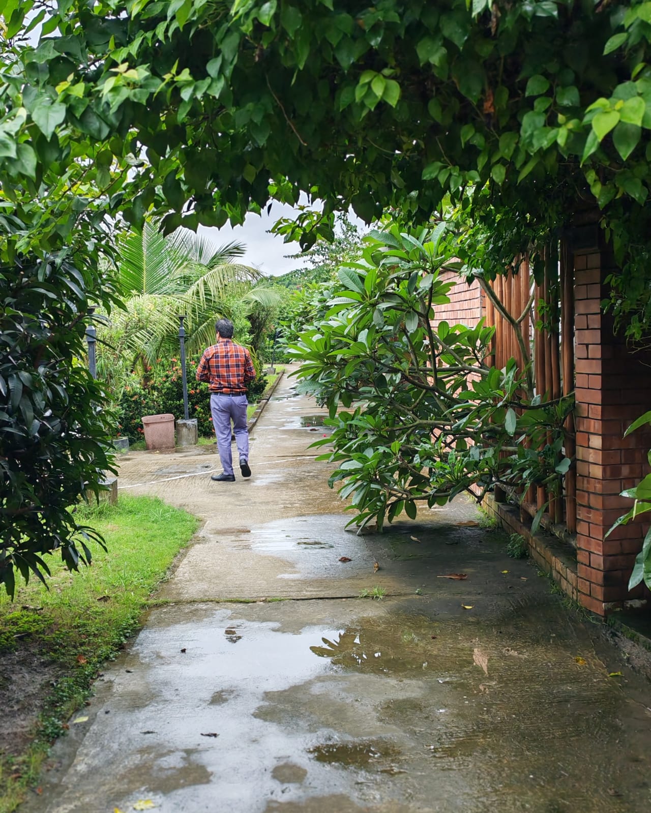 ছায়া শীতল শান্ত রাস্তা